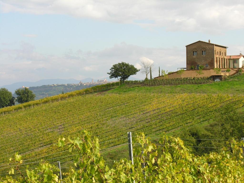 Palazzone Gasthof